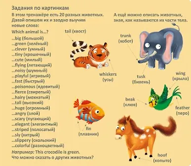 Тренажер - перевертыш. Английский язык - фото 13