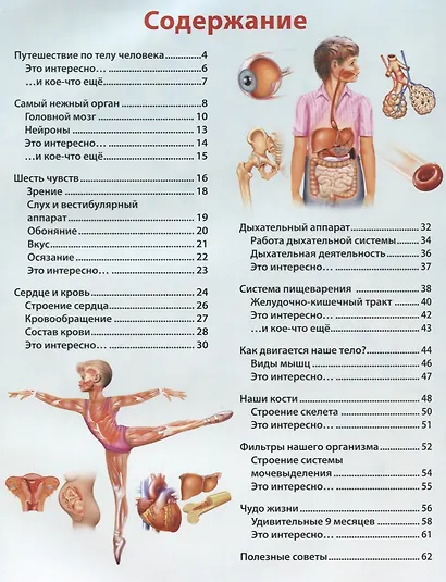 О теле человека для мальчиков и девочек. Детская энциклопедия - фото 2