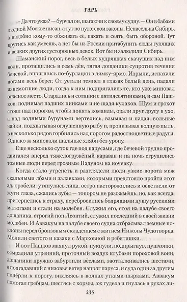 Гарь. Роман - фото 6