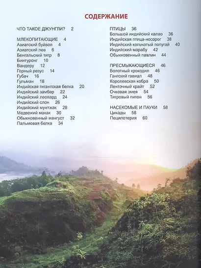 Энциклопедия для детей кто в джунглях живет? - фото 2