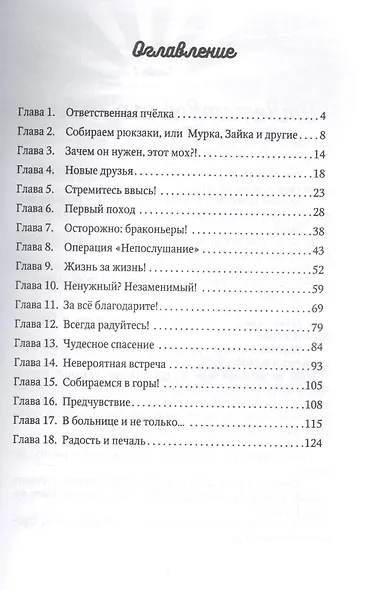 Каникулы на "5+", или Незабываемое лето Кеши и Гоши - фото 2