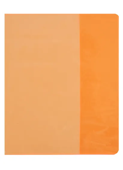 Обложка для тетрадей "Neon" оранжевая - фото 1