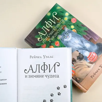 Алфи и зимние чудеса - фото 7