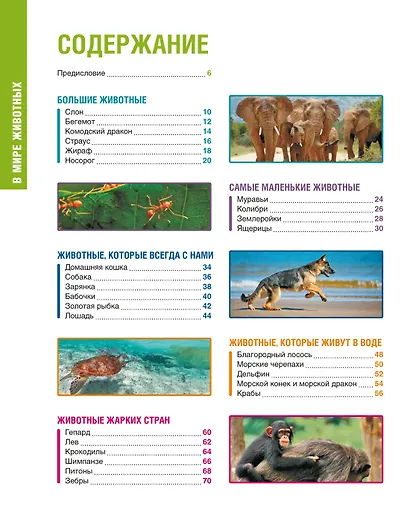 В мире животных - фото 12