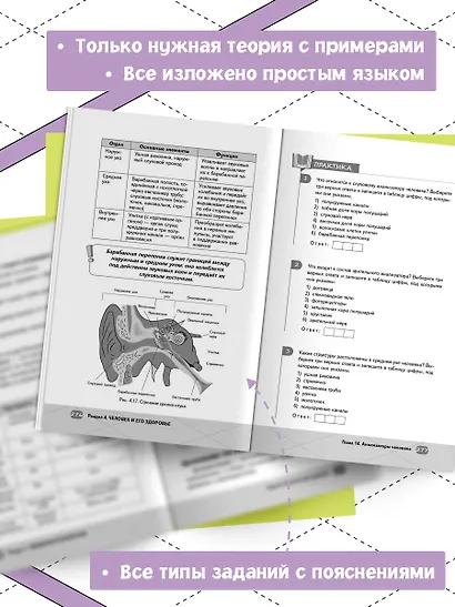 ОГЭ. Биология - фото 5