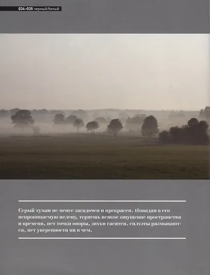 Черный/Белый - фото 5