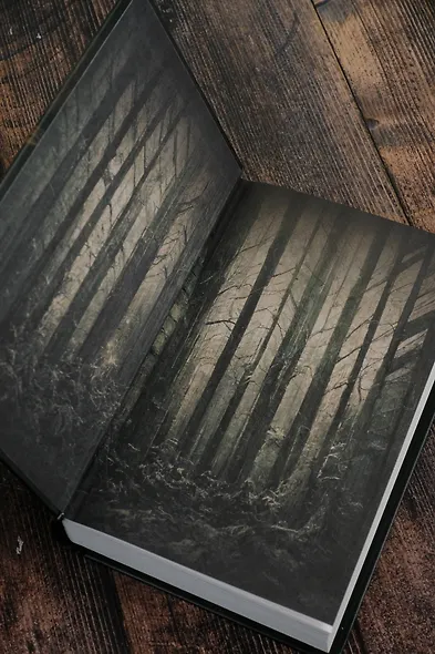 Первый феникс - фото 6