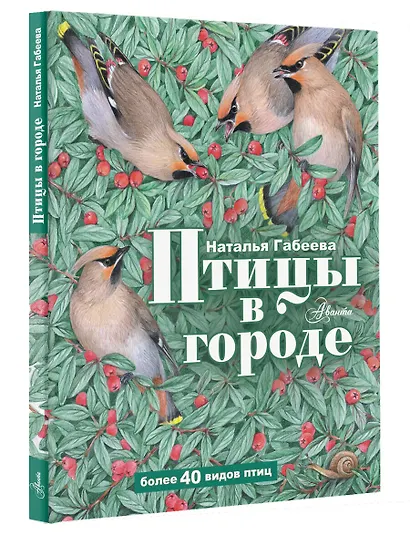 Птицы в городе - фото 3