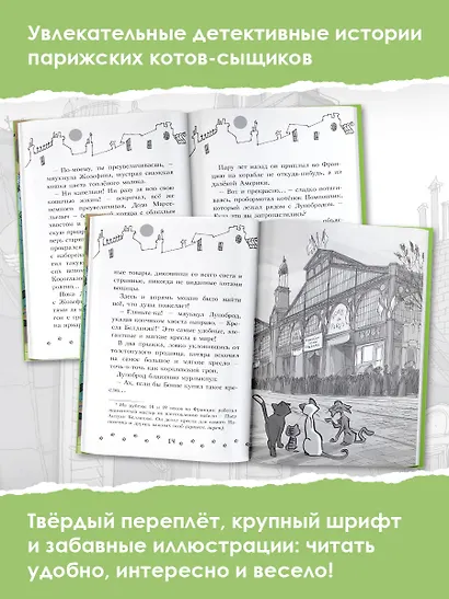 Таинственное исчезновение золотого кота - фото 5