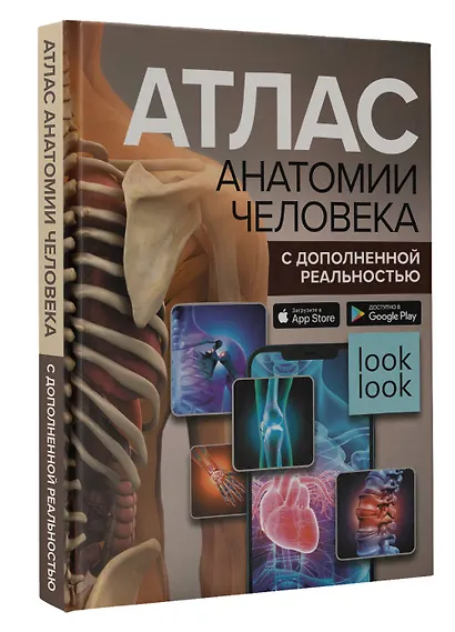 Атлас анатомии человека с дополненной реальностью - фото 3