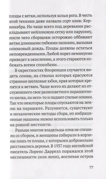 Дивная олива. Краткое культурологическое исследование - фото 7