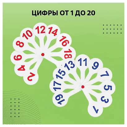 Веер-касса гласных, согласных, цифр 1-20, СТАММ - фото 5