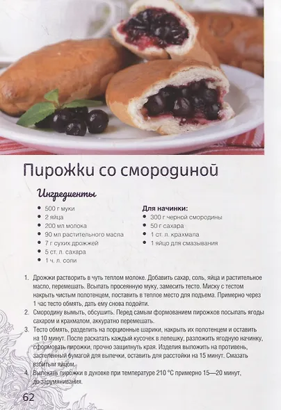 Домашние пироги, пирожки, ватрушки, киши, тарты - фото 3