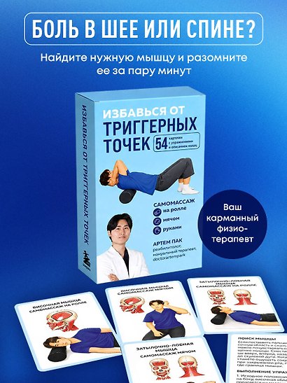 Избавься от триггерных точек. 54 карточки с упражнениями и описанием мышц - фото 4