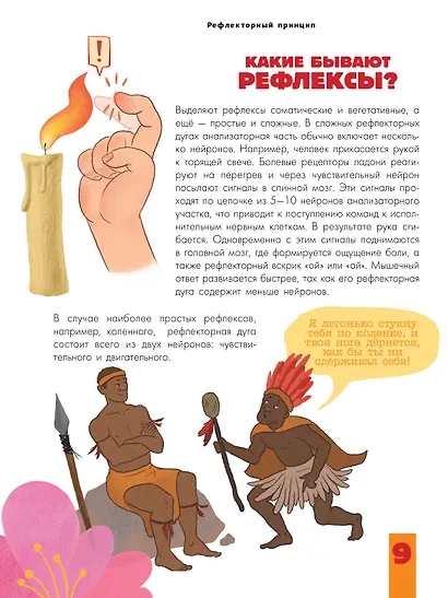 Мозг и нервная система - фото 8