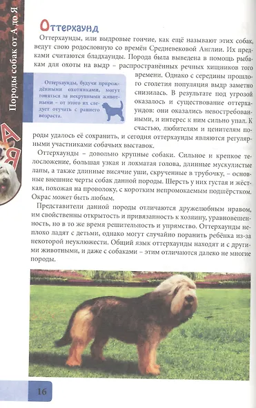 ЭНЦИКЛОПЕДИЯ. В МИРЕ ЗНАНИЙ. ПОРОДЫ СОБАК ОТ А ДО Я - фото 5