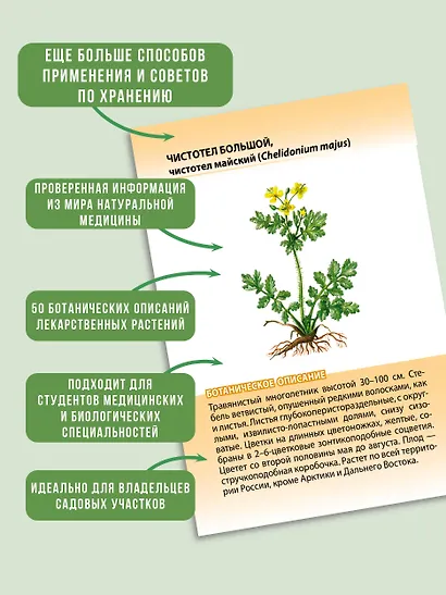 Лекарственные растения от А до Я. 50 карточек - фото 6