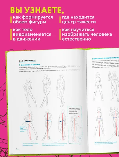 Человек в движении. Подробный анатомический курс по рисованию: от общей формы до перспективы - фото 5