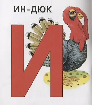Азбука. Книжка-картинка - фото 4