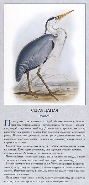 Птицы у воды. Реки касаясь трепетным крылом - фото 2