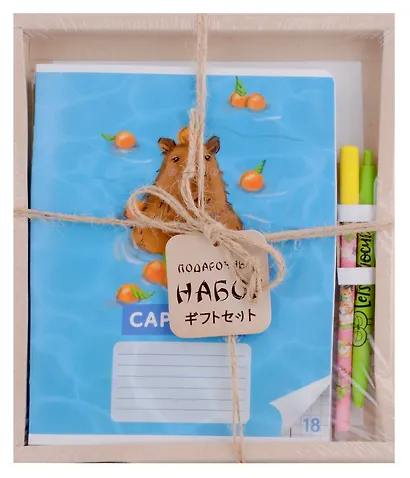 Тетрадь А5 18 листов "Капибары на природе" + ручка гелевая синяя пиши-стирай, + ручка шариковая синяя - фото 7