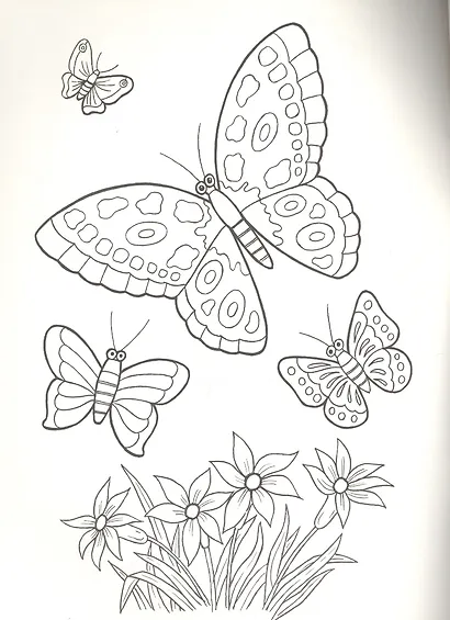 Цветы и бабочки - фото 4