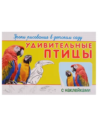 Уроки рисования в детском саду. Удивительные птицы - фото 2