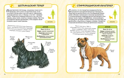 Собаки - фото 4