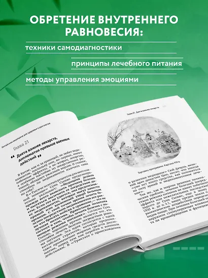Традиционная китайская медицина. Современное руководство по древнему искусству «войны» с болезнями - фото 8