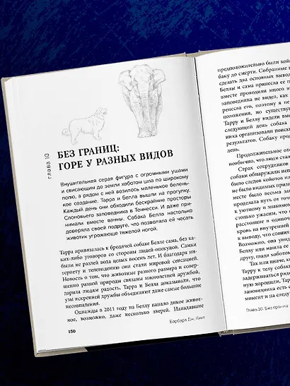 Как животные скорбят. Что чувствуют кошки, слоны, дельфины и другие, теряя близких - фото 10