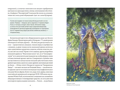 Мифология Толкина. От эльфов и хоббитов до Нуменора и Ока Саурона - фото 12