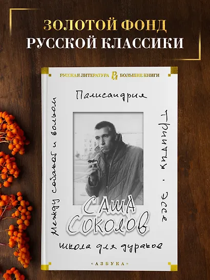 Школа для дураков. Между собакой и волком. Палисандрия. Триптих. Эссе - фото 4