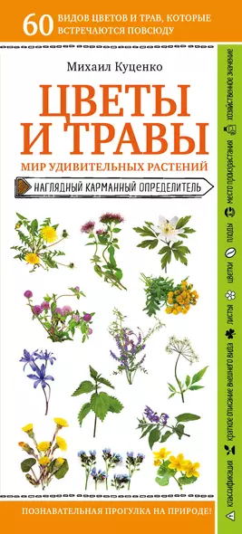 Цветы и травы. Мир удивительных растений. Наглядный карманный определитель - фото 1