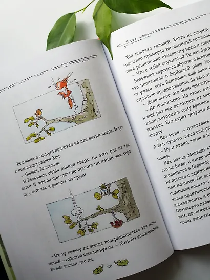 Бельчонок, Медведь и охапка приключений. Повесть - фото 10