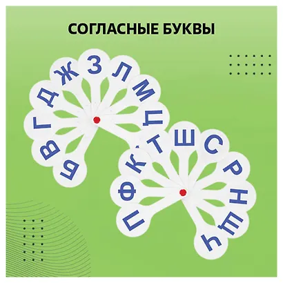 Веер-касса гласных, согласных, цифр 1-20, СТАММ - фото 7