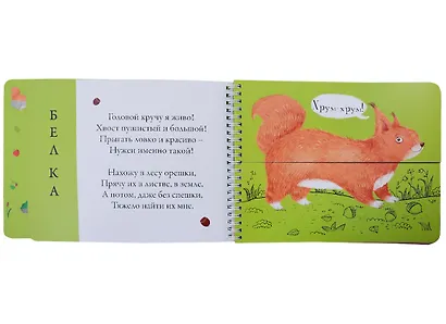 Лесные животные. Подбери картинки-половинки! 144 забавных животных - фото 3