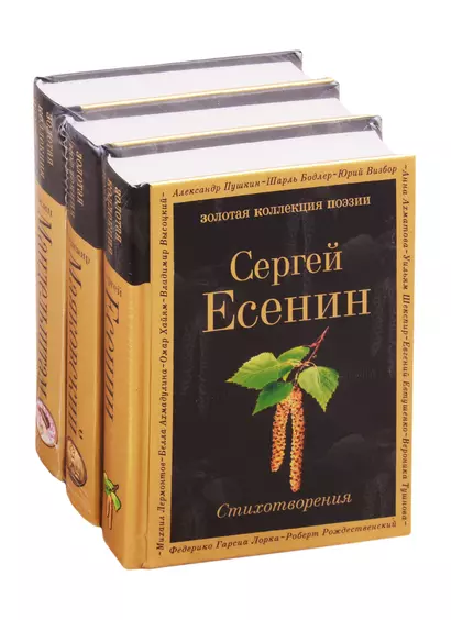 Главные поэты Серебряного века: Сергей Есенин. Владимир Маяковский. Осип Мандельштам (комплект из 3 книг) - фото 1