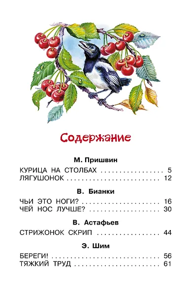 Рассказы о природе - фото 8