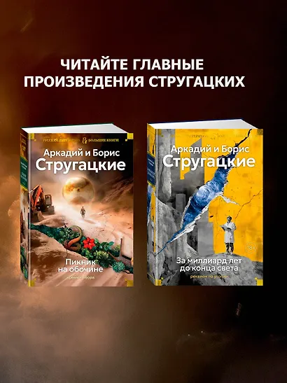 Пикник на обочине. Время выбора - фото 7