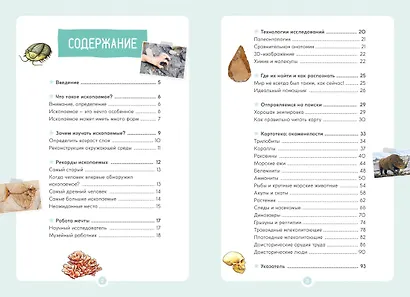 Древний мир. Окаменелости. Животные и растения. Наши предки - фото 12