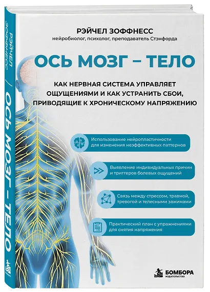 Ось мозг - тело. Как нервная система управляет ощущениями и как устранить сбои, приводящие к хроническому напряжению - фото 3