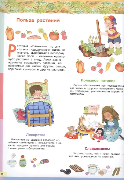 Тайны растений. Моя первая энциклопедия с наклейками - фото 3
