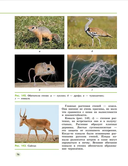 Естествознание. 5 класс. Учебник. В двух частях. Часть 2 - фото 5