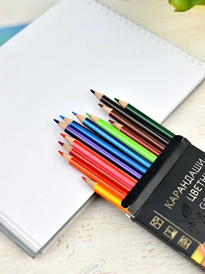 Карандаши цветные 12цв "ГРАДИЕНТ" двуцветн.грифель, к/к, подвес, Феникс+ - фото 9