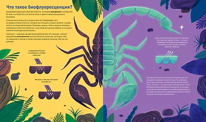 Кто светится в темноте? Невероятные факты о способностях животных - фото 6