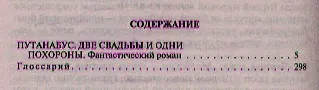 Путанабус. Две свадьбы и одни похороны: Фантастический роман. - фото 2