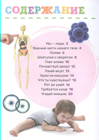 Тело человека - фото 2