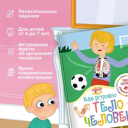 Как устроено тело человека - фото 4