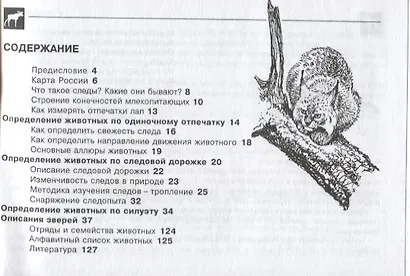 Звери и их следы. Карманный определитель .Изд.4 - фото 2