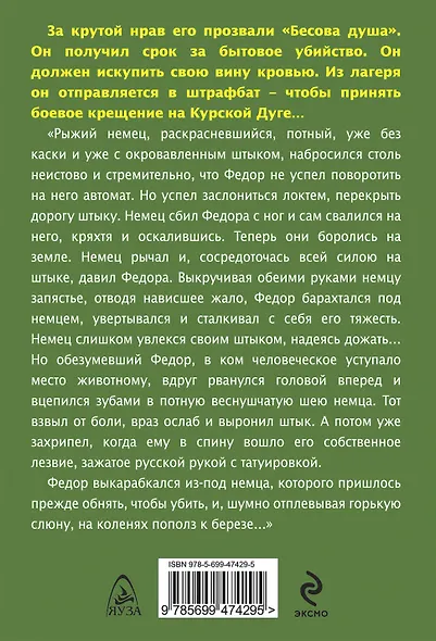 Добровольцем в штрафбат. Бесова душа - фото 2